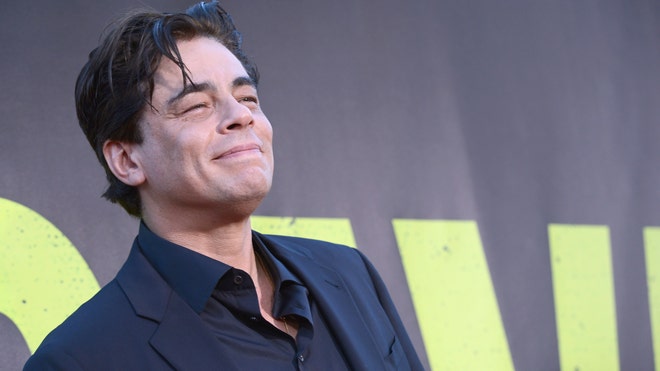 BENICIO DEL TORO DAUGHTER.jpg